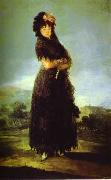 Francisco Jose de Goya Portrait of Mariana Waldstein. oil painting on canvas